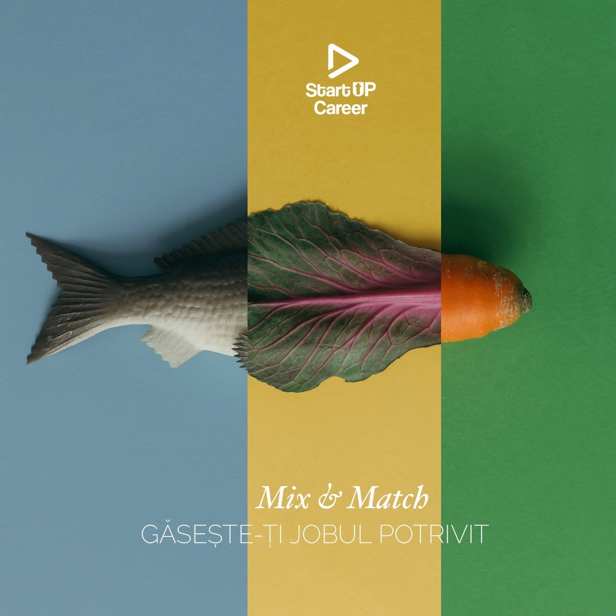 Mix & Match visual about finding the right job, built from three mismatched images